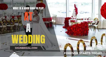 Songs to Celebrate Love: Wedding Tunes