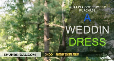 When to Buy Your Dream Wedding Dress