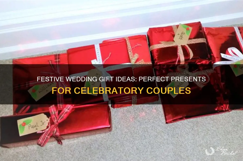 what is a good wedding gift for festivals