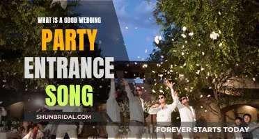 Wedding Party Entrance: Songs to Kickstart the Celebration