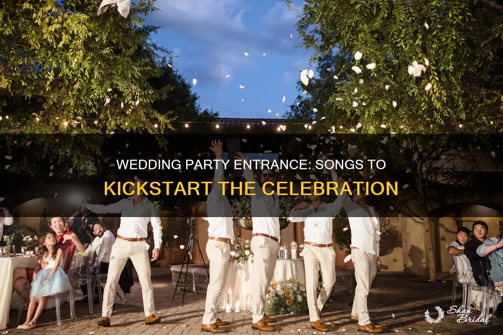 what is a good wedding party entrance song