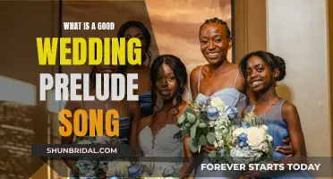 Prelude Songs for a Perfect Wedding Ceremony