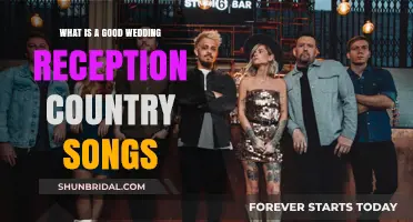 Best Country Songs for Wedding Receptions
