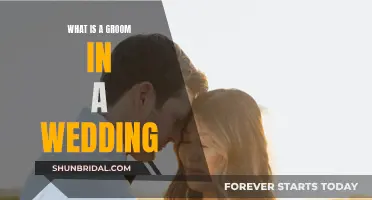 The Groom: A Wedding's Male Lead
