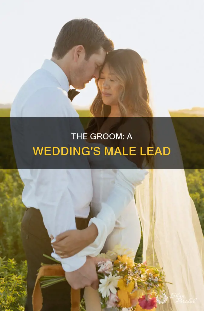 what is a groom in a wedding