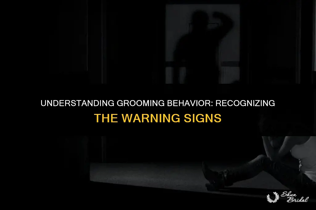 what is a groomer person