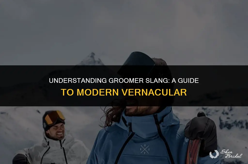 what is a groomer slang