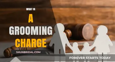 Understanding Grooming Charges: Legal Implications and Consequences