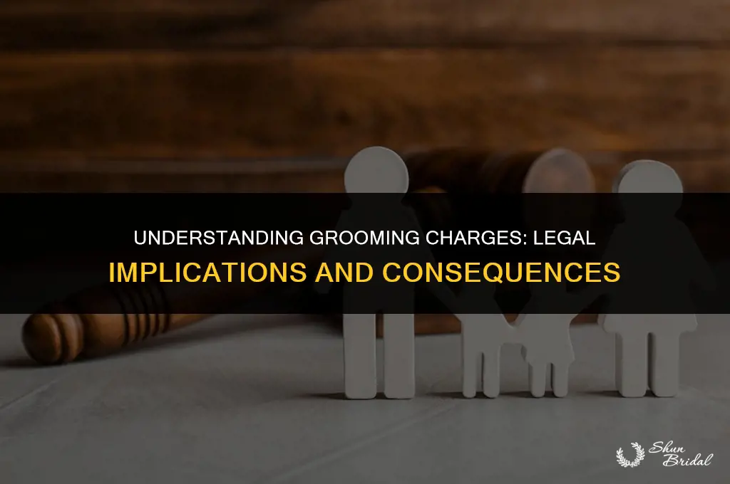 what is a grooming charge