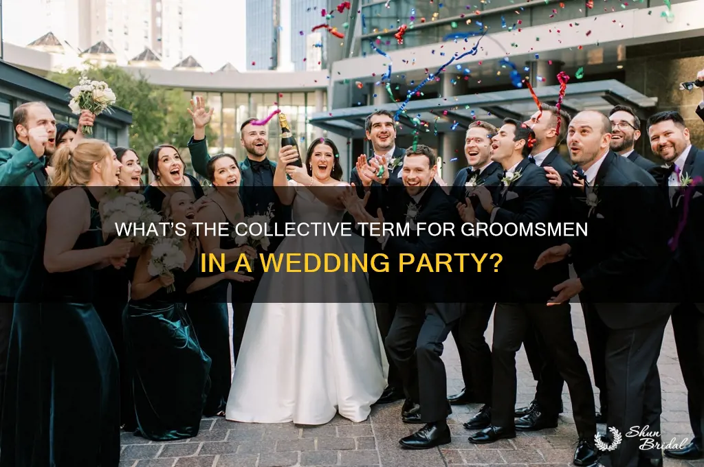 what is a group of groomsmen called