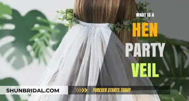 What is a Hen Party Veil? A Bride's Fun Accessory Explained