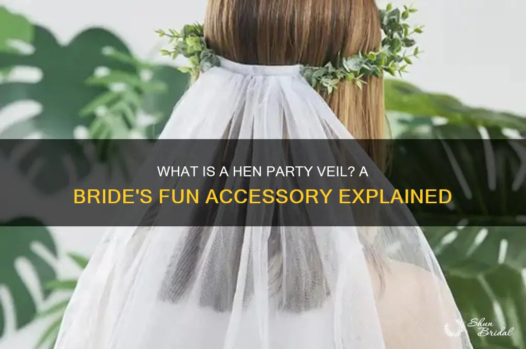 what is a hen party veil