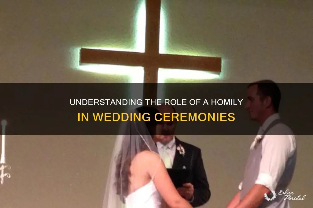 what is a homily at wedding ceremony