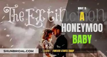 Honeymoon Babies: A New Trend for Couples