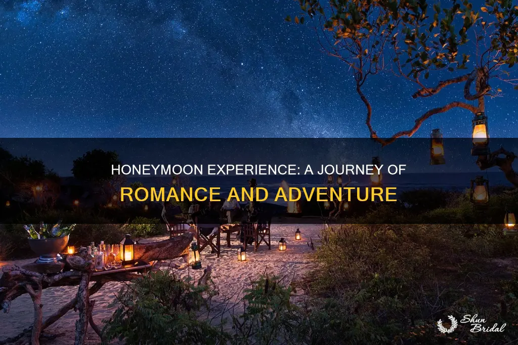 what is a honeymoon experience