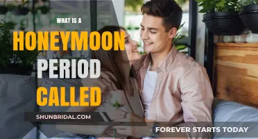 Understanding the Honeymoon Phase: What’s It Called and Why It Matters