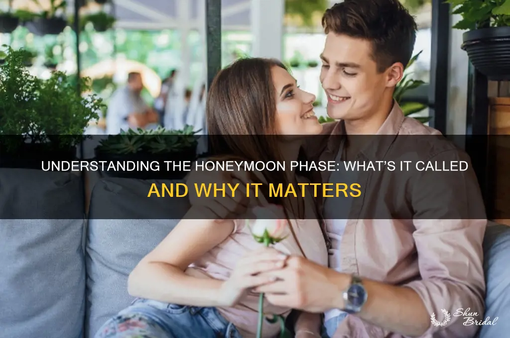 what is a honeymoon period called