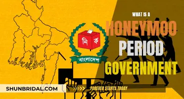 Honeymoon Phase: Understanding New Government's Initial Strengths and Challenges