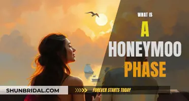 Honeymoon Bliss: Unveiling the Magic of the First Love Phase