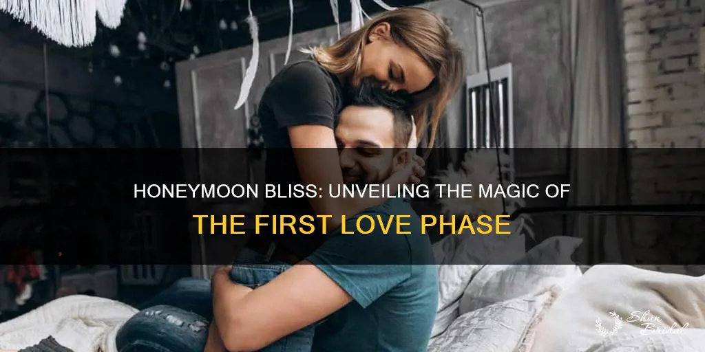 what is a honeymoon phase