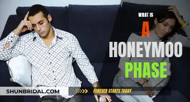 Understanding the Honeymoon Phase in Relationships