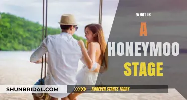 Understanding the Honeymoon Stage: Love's Blissful Beginning Explained