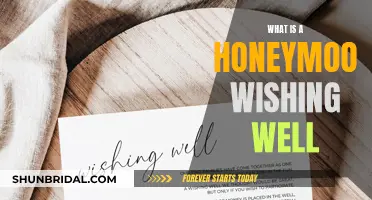 Honeymoon Wishing Well: A Guide to This Wedding Trend