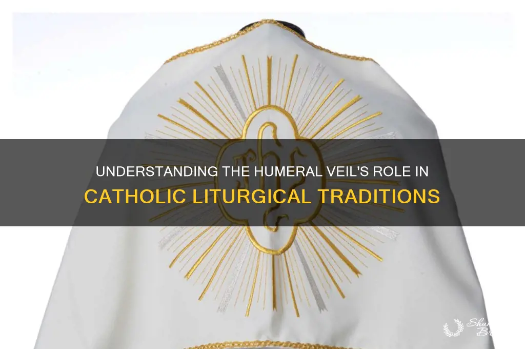 what is a humeral veil in the catholic church