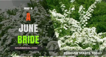 June Bride: A Timeless Tradition in Matrimony