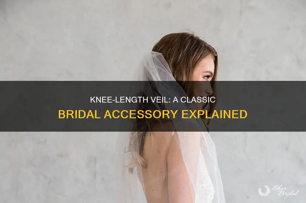 what is a knee length veil