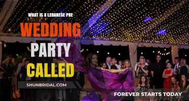 Discovering the Joyful Lebanese Pre-Wedding Celebration: What's It Called?