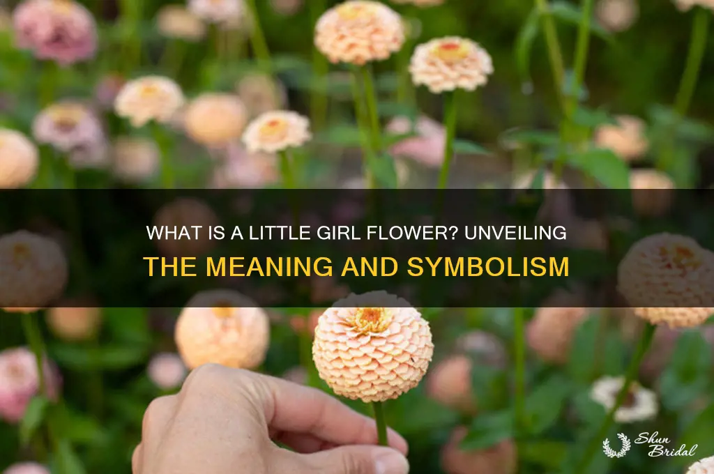 what is a little girl flower