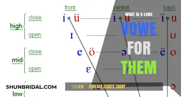 Understanding Long Vowels: A Comprehensive Guide for Language Learners