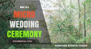 Micro Wedding Ceremonies: Intimate, Affordable, and Personalized Celebrations Explained