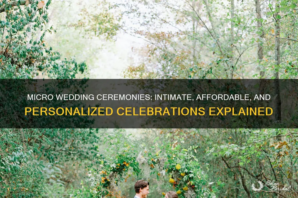 what is a micro wedding ceremony