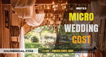 Micro Wedding Costs: Budget-Friendly Celebrations for Intimate Gatherings