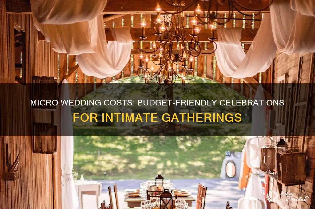 what is a micro wedding cost