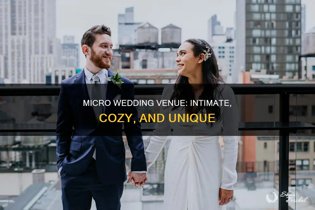 what is a micro wedding venue