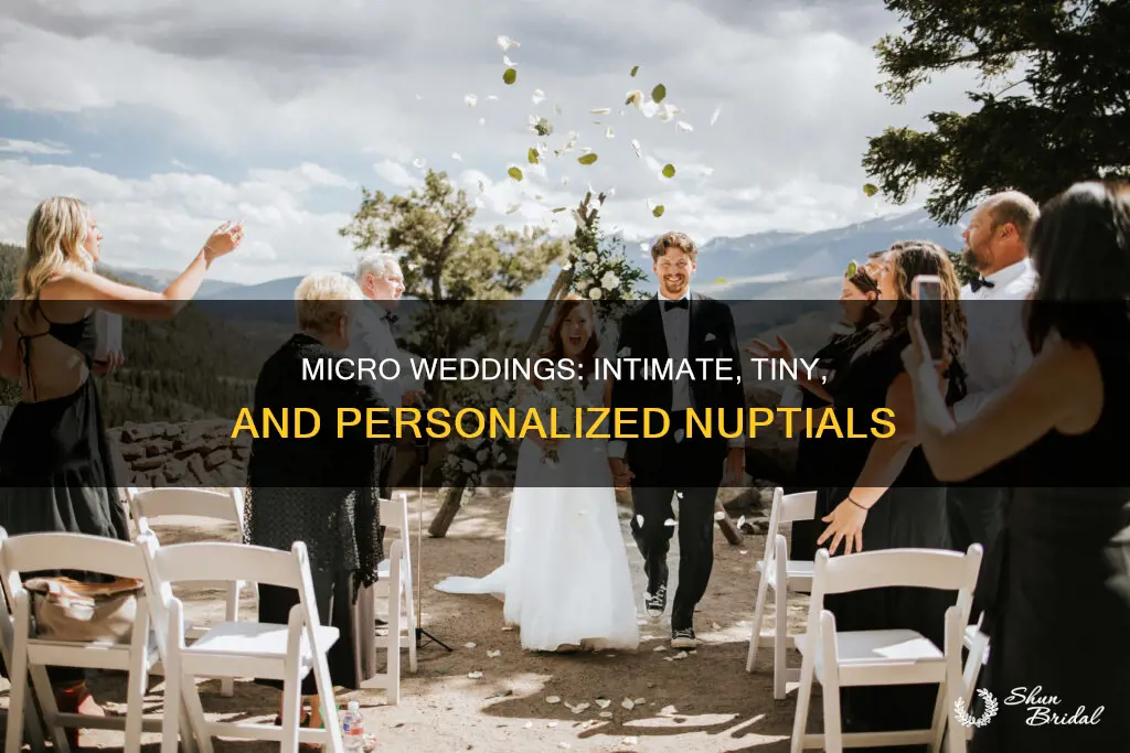 what is a micro wedding