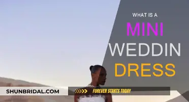 Mini Wedding Dresses: A Guide to the Trend