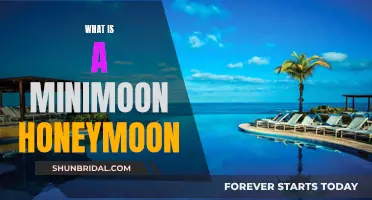 Exploring the Concept of a Minimoon Honeymoon: A Guide for New Couples