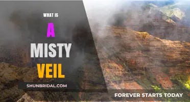 Unveiling the Mystery: Understanding the Misty Veil Phenomenon