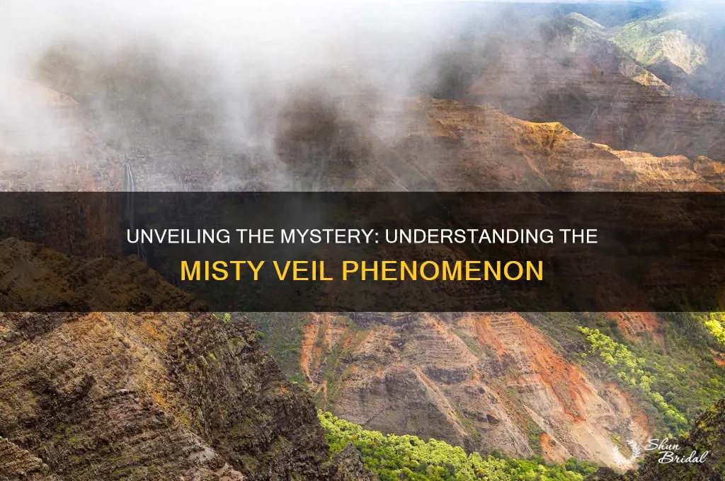 what is a misty veil