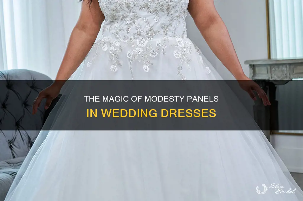 what is a modesty panel wedding dress