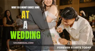 The Money Dance Song: Wedding Tradition Explained