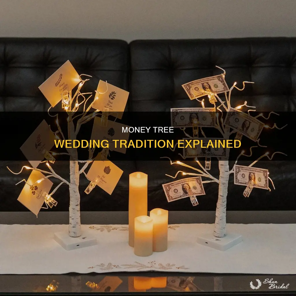 what is a money tree at a wedding reception