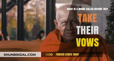 Novice to Monk: Understanding the Pre-Vow Title in Monastic Life