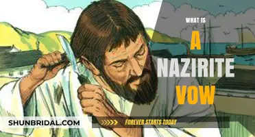 Understanding the Nazirite Vow: Sacred Commitments in Biblical Tradition