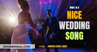 Finding the Perfect Wedding Song for Your Big Day