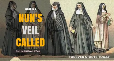 Understanding the Nun's Veil: Names, Significance, and Traditions Explained